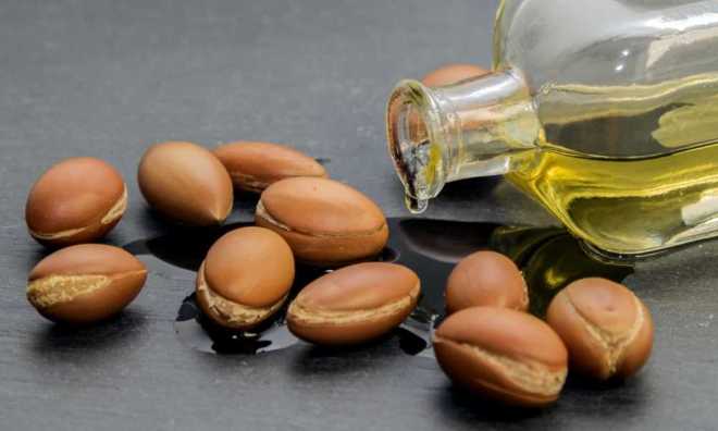 Where-Does-Argan-Oil-Come-From